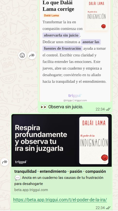 Así se ve Triggui en tu WhatsApp